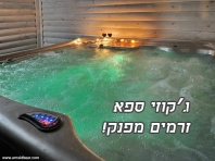 ���� ����
